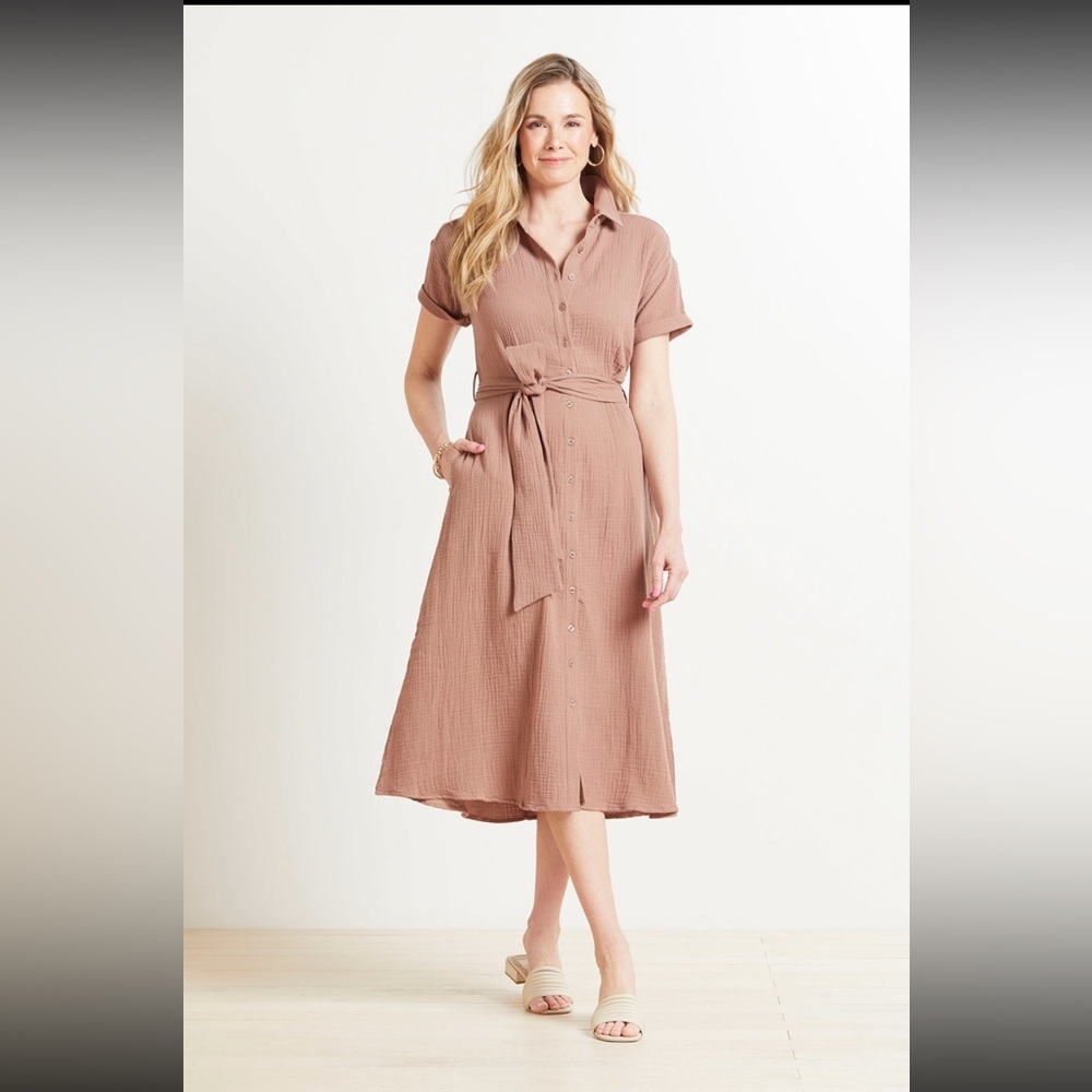 New Evereve Hailey Gauze Button Down Dress